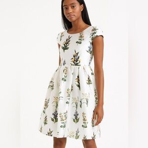 Spring/Tea/Garden Party Dress with Low V Back and Ribbon Belt